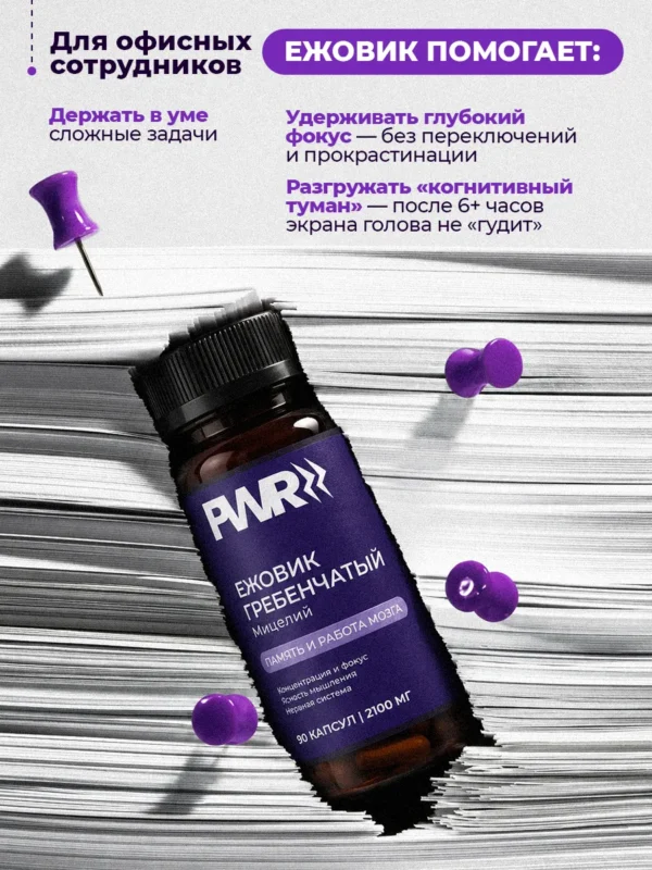 Ежовик гребенчатый мицелий для мозга и памяти 2 Ежовик гребенчатый мицелий для мозга и памяти — фото 2