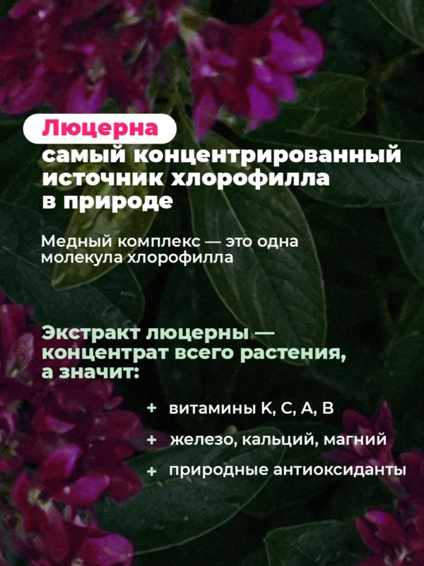 Хлорофилл жидкий пищевой — малина — фото 3
