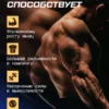 Креатин моногидрат порошок creatine 300 г 3 Креатин моногидрат порошок creatine 300 г — фото 3