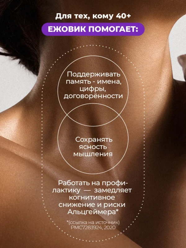Ежовик гребенчатый мицелий для мозга и памяти 3 Ежовик гребенчатый мицелий для мозга и памяти — фото 3
