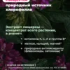 Хлорофилл жидкий для похудения и детокса с малиной и мятой 3 Хлорофилл жидкий для похудения и детокса с малиной и мятой — фото 3