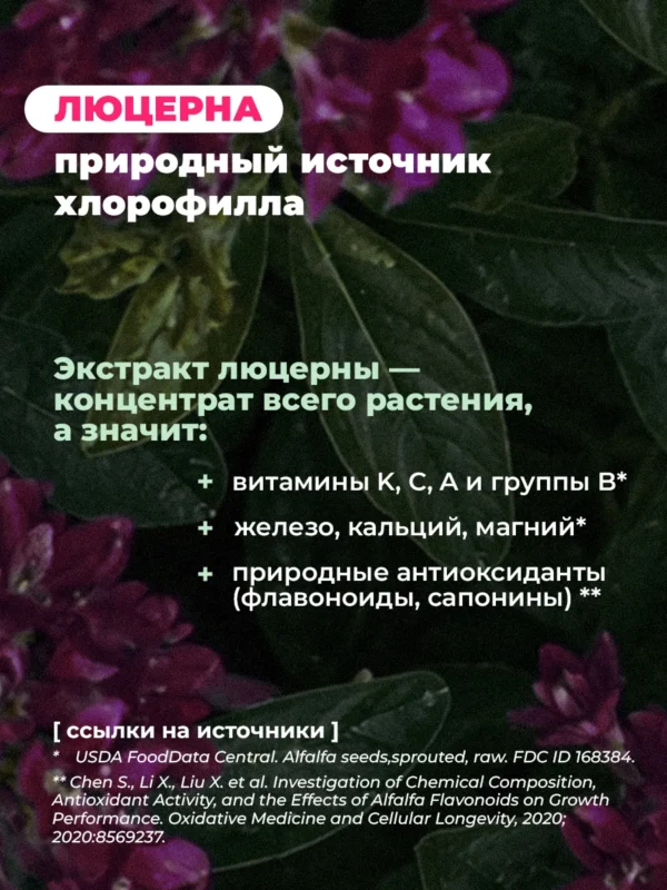 Хлорофилл жидкий для похудения и детокса с малиной и мятой 3 Хлорофилл жидкий для похудения и детокса с малиной и мятой — фото 3