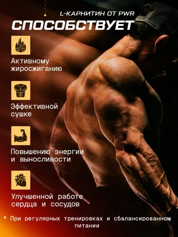 Л карнитин в капсулах для похудения 4 Л карнитин в капсулах для похудения — фото 4