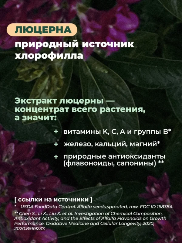 Хлорофилл жидкий для похудения, 1 л — мята — фото 4