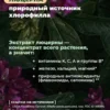 Хлорофилл жидкий для похудения 4 Хлорофилл жидкий для похудения — фото 4