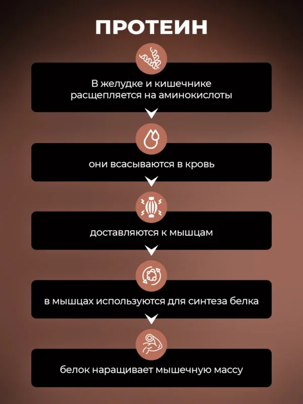 Протеин сывороточный Whey Protein — ваниль — фото 5