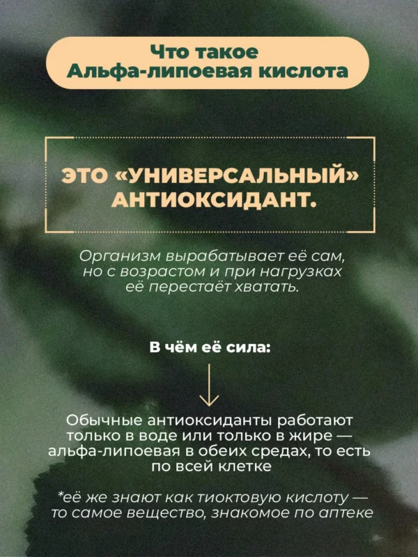 Альфа липоевая кислота для похудения и снижения аппетита 5 Альфа липоевая кислота для похудения и снижения аппетита — фото 5