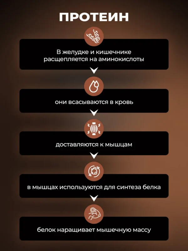 Протеин сывороточный для мышечной массы Whey Protein — фото 5