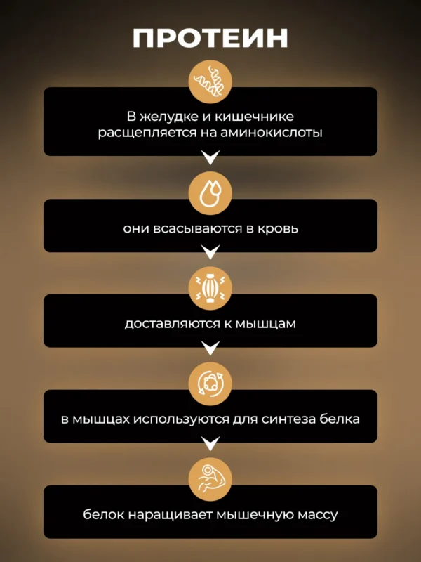 Протеин сывороточный для мышечной массы 5 Протеин сывороточный для мышечной массы — фото 5