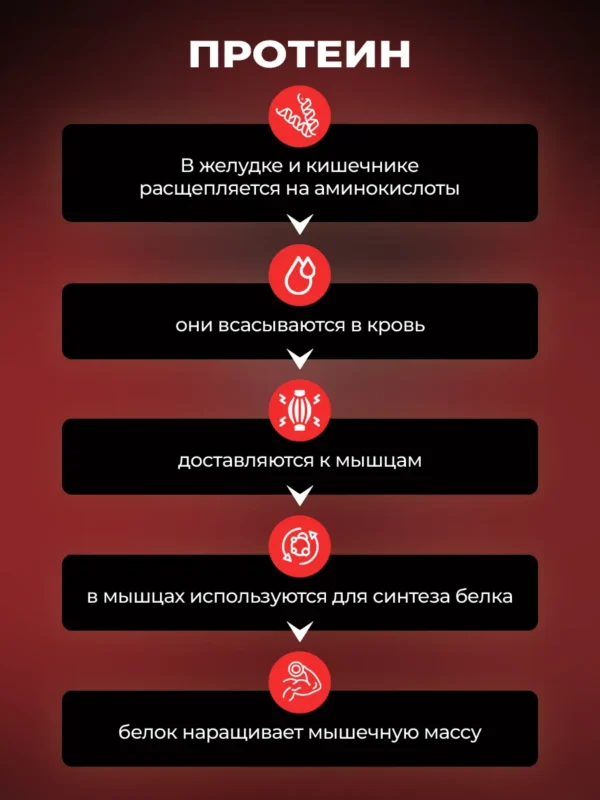 Протеин сывороточный Whey Protein — фото 6