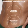 Хлорофилл жидкий для похудения 6 Хлорофилл жидкий для похудения — фото 6