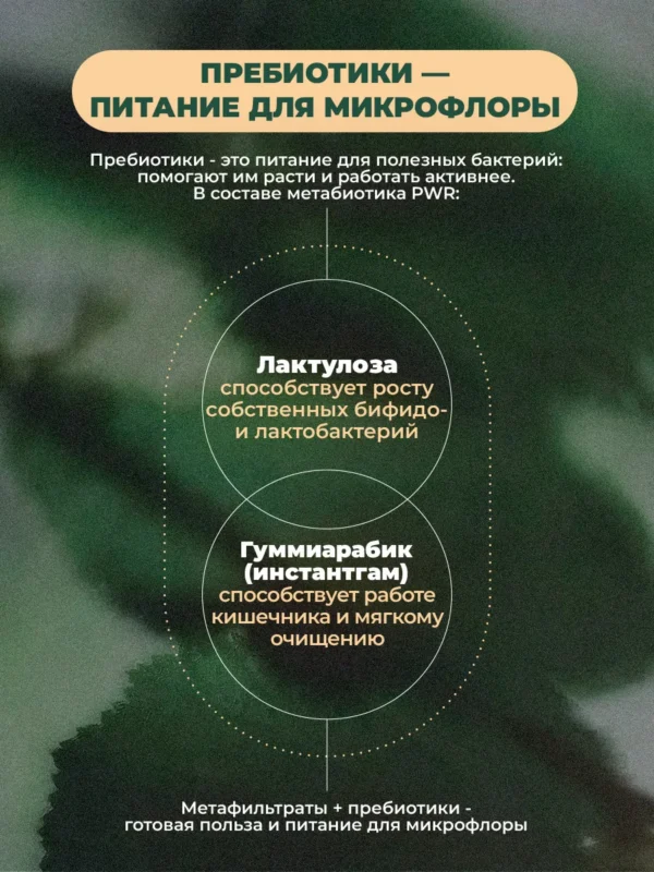Метабиотик пробиотики для кишечника взрослым 6 Метабиотик пробиотики для кишечника взрослым — фото 6