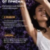 Л Теанин успокоительное от стресса 7 Л Теанин успокоительное от стресса — фото 7